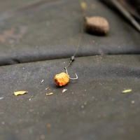 Nash Pinpoint Chod Twister Hooks